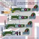 1/24 Hawker Typhoon Mk.1B (Car Door) RAF Insignia Paint Masking for Airfix kit #19003A