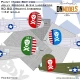 1/32 Jolly Rogers B-24 Liberator 90BG (Heavy) Insignia Paint Mask Set for Hobby Boss kits