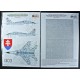 1/32 Mikoyan MiG-29UB Tiger Camouflage Paint Masking