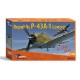 1/48 Chinese AF Republic P-43A-1 Lancer