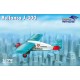 1/72 Bellanca J-300 (Liberty + Warsaw)