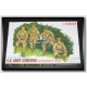 1/35 US Army Airborne (Normandy 1944) 