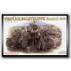 1/35 WWII Verfugungstruppe France 1940 