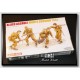 1/35 Infantry - Allied Assault Monte Cassino 1944 