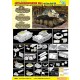 1/35 Aufklarungspanzer 38t Mit 2cm KwK 38 (Smart Kit)