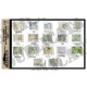 1/35 WWII Allied Western Germany Maps