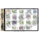 1/35 WWII Allied Eastern Germany Maps