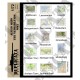 1/72 WWII Allied Netherlands Maps