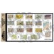 1/35 WWII Allied Belgium Maps