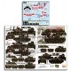 Decals for 1/10 CAV M48s & M113s in Vietnam