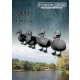 1/35 Ducks