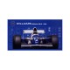1/20 Williams FW16 Renault San MarinoGP/Brazilian GP/Pacific GP (GP-24)