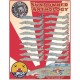 Decals for 1/72 Grumman F-14A Tomcat " VF-111 Sundowners Anthology"