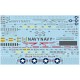 Decals for 1/72 F-14 Stencils & Data: Gull Gray over White scheme, Tactical Paint Scheme