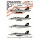 Decals for 1/48 Boeing F/A-18F Super Hornet VFA-103 Jolly Rogers