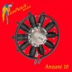 1/32 WWI Anzani 10 Engine