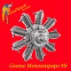 1/32 Gnome Monosoupape 9N Rotary Aero Engine