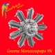 1/32 Gnome Monosoupape 9N Rotary Aero Engine