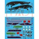 1/32 Mirage 2000C 40th Anniversary of 1st Air Defence Group Decal sheet