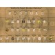 Decals for 1/48 Waffen SS Division Markings