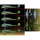 Decals for 1/72 FW-189 A-1