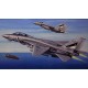 1/72 Grumman F-14D Super Tomcat