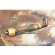 1/48 Romanian Low-Wing Monoplane IAR-80