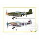 1/48 P-51D Mustang IV
