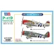1/48 Republic P-47D Thunderbolt Fighter