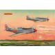 1/48 PLAAF P-51D/K Mustang