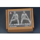 1/24 Akira Nakai - Sitting (1 Resin Figure) [Limited Edition]