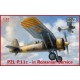 1/32 PZL P.11c in Romanian Service