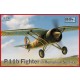 1/72 PZL P.11b Fighter in Romanian Service