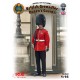 1/16 British Grenadier Queen's Guard