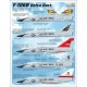 Decals for 1/48 USAF Convair F-106Bs Delta Dart Interceptor