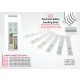 Premium Zebra Sanding Stick (Sankyo) #800 (2pcs)
