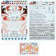 1/48 IAF F-16A/B Nets Decals [30th Anniversary Special Edition]
