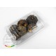 Basic Brown Nut for Vegetation for all scales
