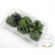 Basic Green Nut for Vegetation for all scales