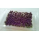 Lavender for 1/35, 1/48, 1/72, 1/87 scales