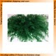 Green Fine Weeds for All Scales