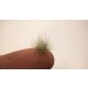 1/48 - 1/6 Winter Coloured Grass Tufts 4.5 - 12 mm