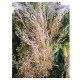 1/48, 1/35, 1/16 (54mm, 120mm Scale) Fine Green Weeds Vol.3 Long Brown Grass (very fine)