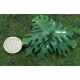 Nam Bush set III (Plastic) for 1/35, 1/48 scales (24mm - 120mm)
