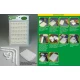 Silicone Mould for Making 1/35 Slabstones No.1 (Small)
