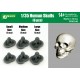 1/35 Human Skulls (Small: 2pcs, Medium: 2pcs, Large: 2pcs)