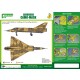 Airbrush Camo-Mask for 1/48 Dassault Mirage IIIC Camouflage Scheme 2