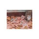 1/32 1/35 Rats (44pcs)