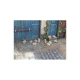 1/32 1/35 Rabbits (11pcs)