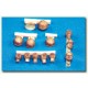 1/35 US Heads Set (8 heads)